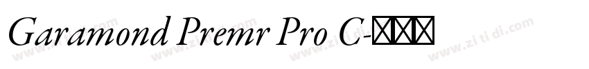 Garamond Premr Pro C字体转换